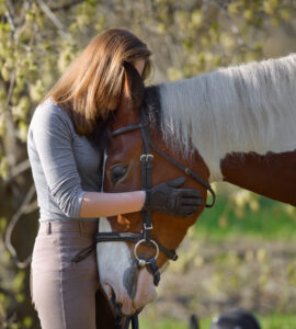 Idées de Nom pour Cheval – Inspirez-vous!