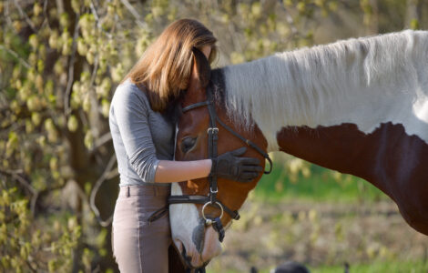 Idées de Nom pour Cheval – Inspirez-vous!