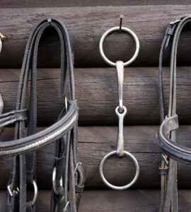 Mors Cheval : Choisissez le Bon pour votre Monture
