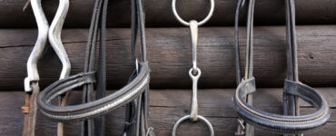 Mors Cheval : Choisissez le Bon pour votre Monture