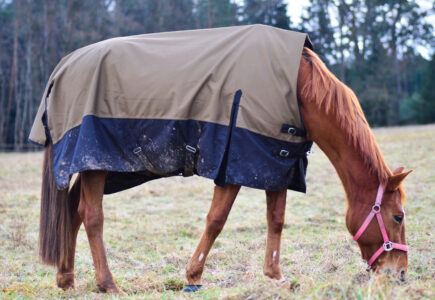 Couverture Imperméable Cheval: Protection Optimale