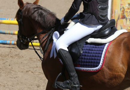Airbag Cheval : Sécurité et Confort en Équitation