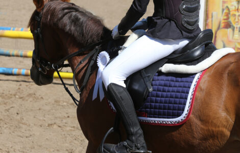 Airbag Cheval : Sécurité et Confort en Équitation