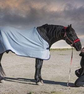 Couverture Anti Mouche Cheval: Protection Équine