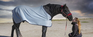 Couverture Anti Mouche Cheval: Protection Équine