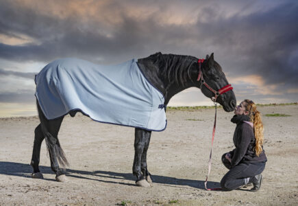 Couverture Anti Mouche Cheval: Protection Équine