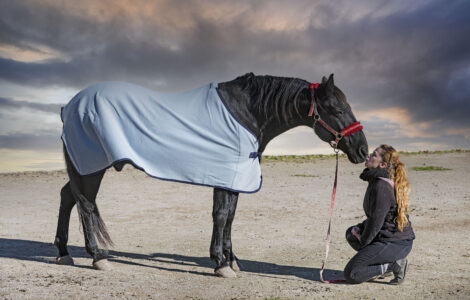 Couverture Anti Mouche Cheval: Protection Équine