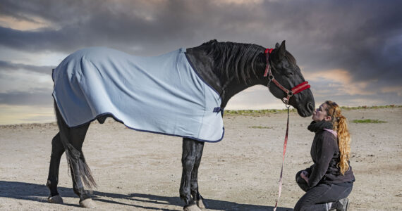 Couverture Anti Mouche Cheval: Protection Équine