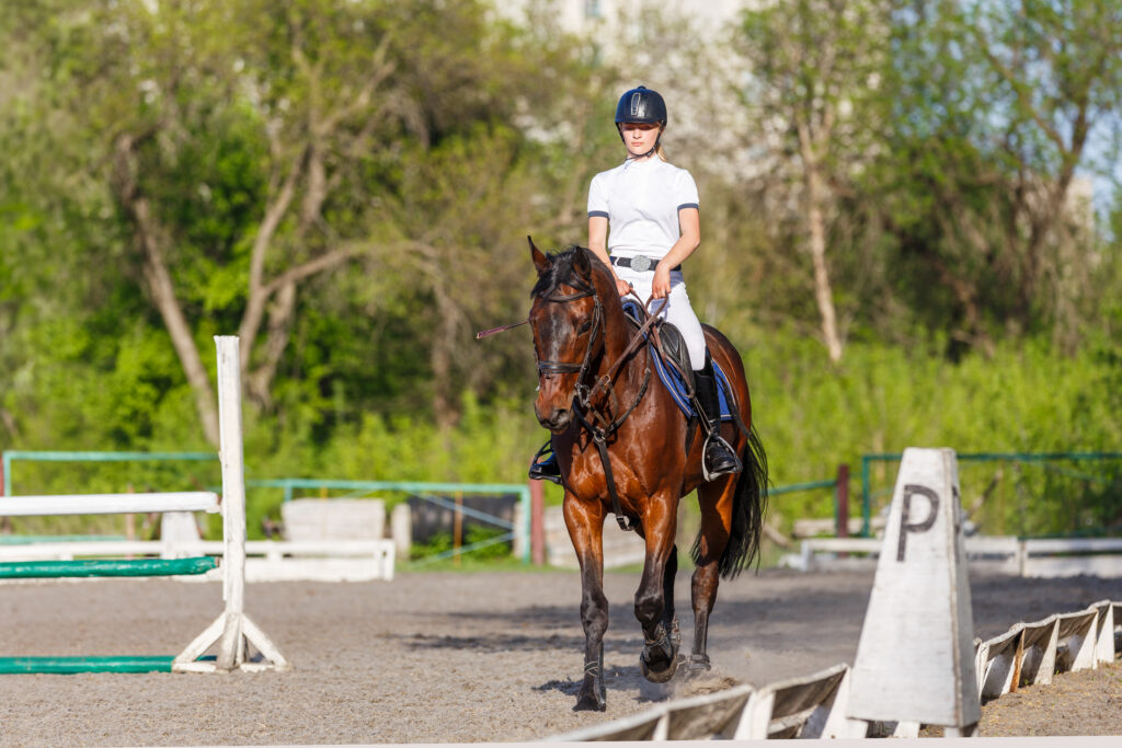 Hi vis gilet de cheval - France