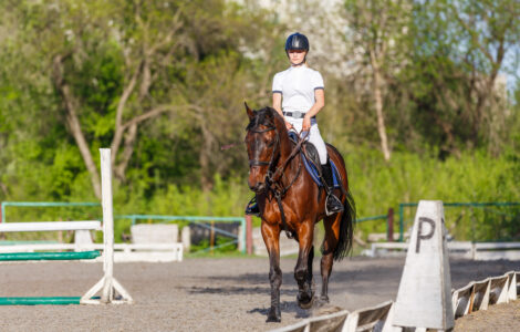 Idées de Nom pour Cheval – Inspirez-vous!