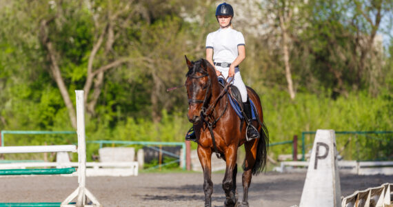 Idées de Nom pour Cheval – Inspirez-vous!